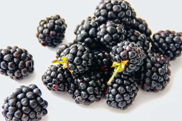 mulberry is well known fruit for 1500 calories diet